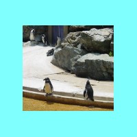 zoo 025.jpg